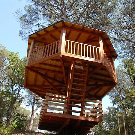 Cabanes Dosrius Canyamás الغرفة الصورة